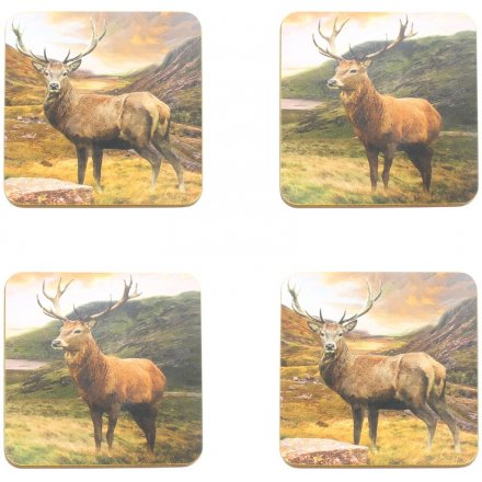 Stag Coasters Set Of 4
