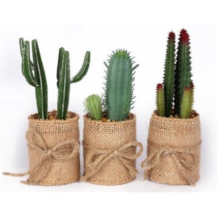 Cactus In Hessian Pot Decorations, 3 Assorted