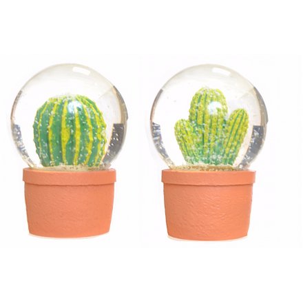  Cacti In Pots Snow Globes, 2 Assorted