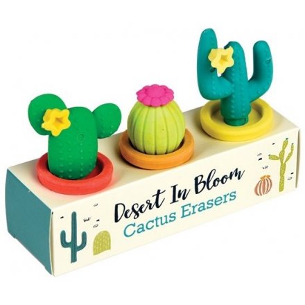 Blooming Cactus Erasers, Box of 3