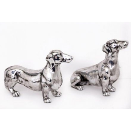 Distressed Silver Dogs, 2ass