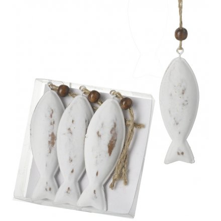 Box of White Hanging Fish