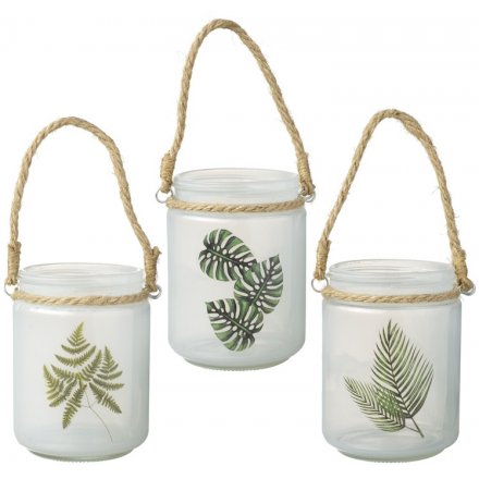 Glass Hanging Pots With A Leaf Design