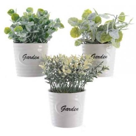 Large Faux Plants In White Garden Pots, 3 assorted