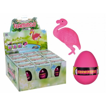 Flamingo In An Egg