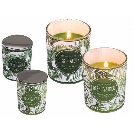 Scented Wilderness Candle Pots