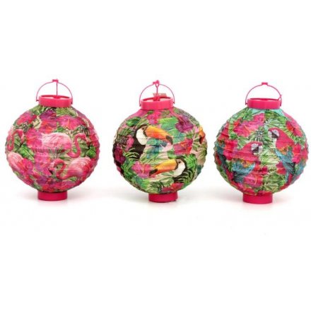 Tropical Paradise Paper Lanterns, 3 Assorted  