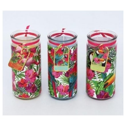 Small Tropical Candle Tube