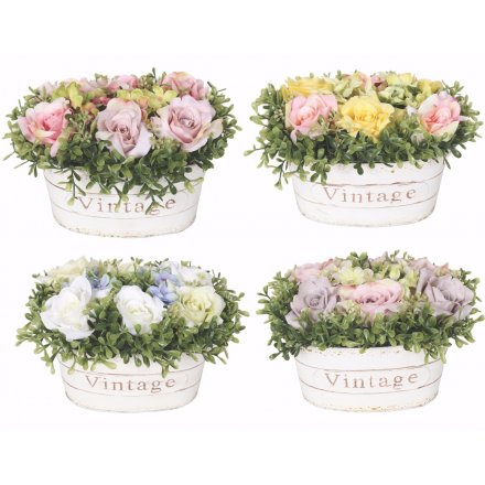 Oval Planters With Rose Bouquet Mix 25cm