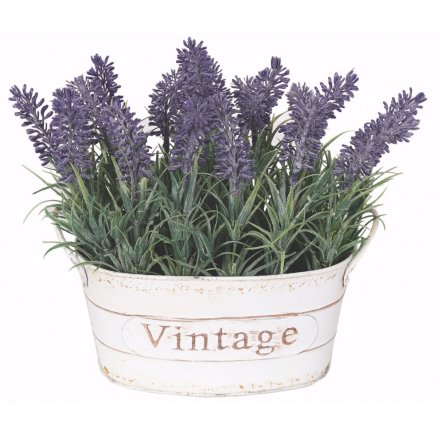 Lavender Oval Planter 22cm