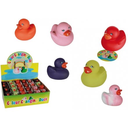 Colourful Rubber Ducks