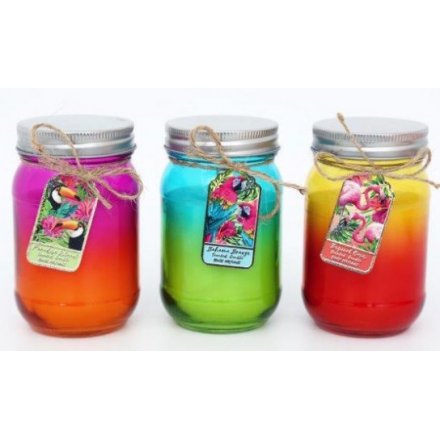 Tropical Themed Two-Tone Candle Jars