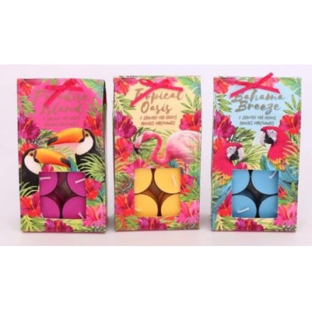 Tropical Scented T-Lights Pack of 12 Mix