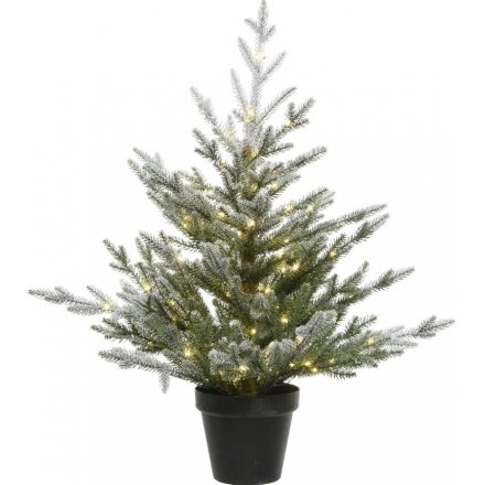 Snowy Covered Potted Tree with LEDs 75cm