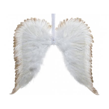 Large Feather Wings with Golden Edging 