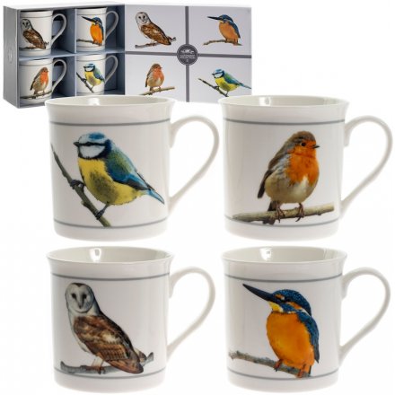 Bird Mugs, Set Of 4
