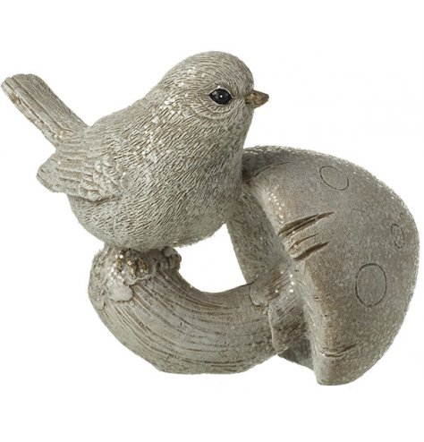A chic woodland ornament featuring a single bird perched upon a curved toadstool. Complete with shimmering glitter.
