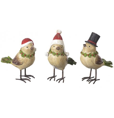 Traditional Christmas bird figures with holly wreath collars and Christmas hats.