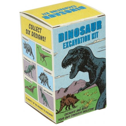 Dig up some dinosaur bones with your little ones with this exciting Excavation Kit! 