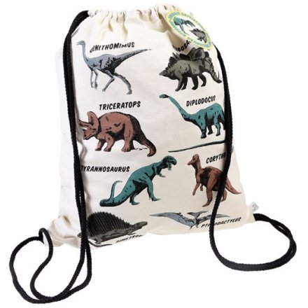 Prehistoric Land Dinosaur Childrens Bag