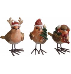 A cute mix of Robin Red Breasts sweetly decorated with festive features 