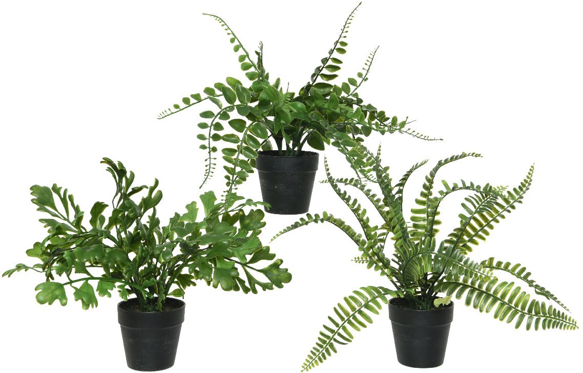 Artificial Potted Fern Assortment 30cm 41570 Outdoor Living