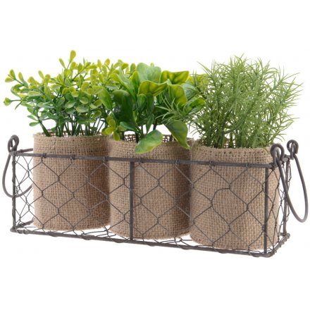 Hessian Wrapped Artificial Herb Plants 