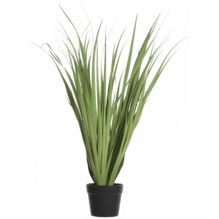 Artificial Agrostis Grass 