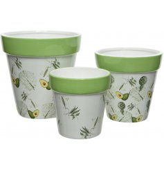 A charming assortment of Terracotta based planters set with a green and white Vegetable print 