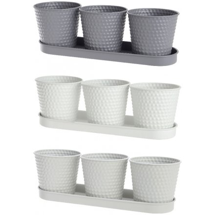 Grey Toned Planters on Trays, 35cm 