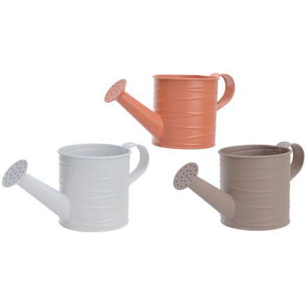Coloured Watering-can Planters, 10.5cm 
