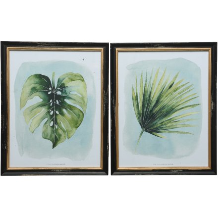 Framed Palm Print, 2a