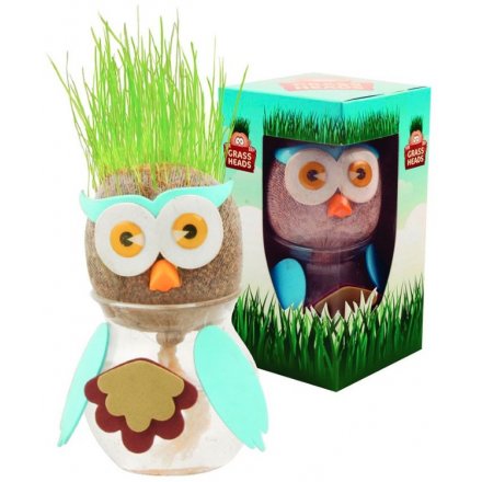 Grow Your Own Grass Owl Head 