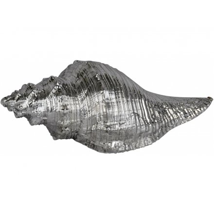 Silver Seashell, 18cm 
