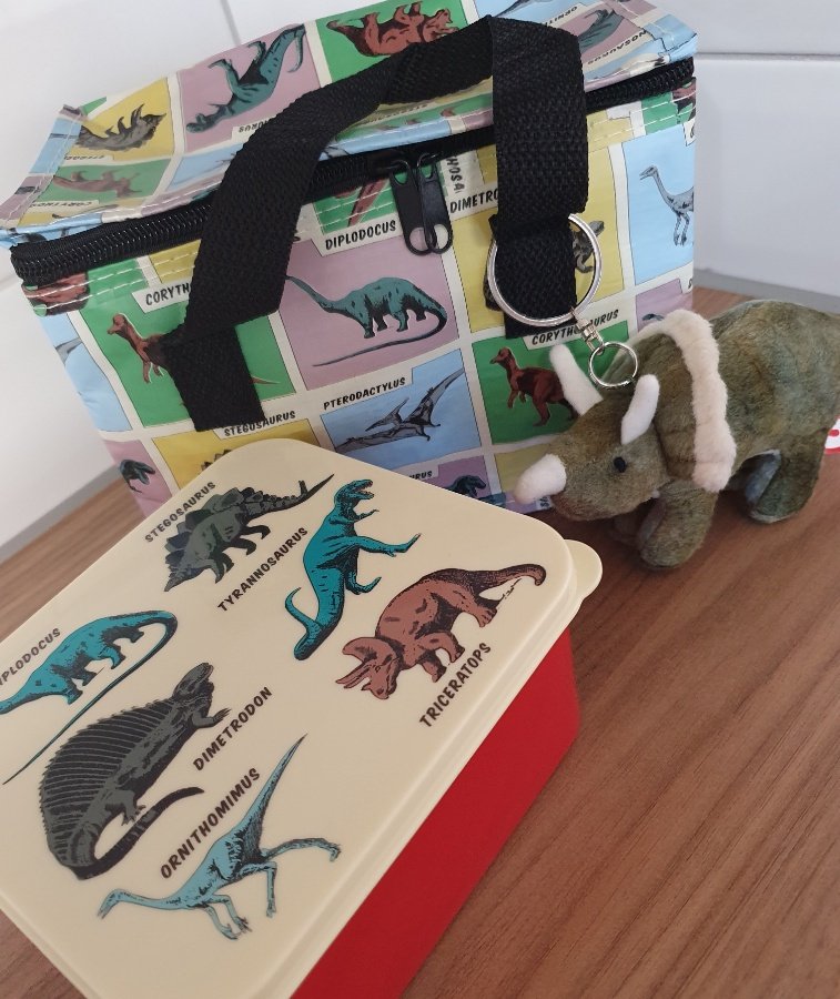 dinosaur insulated lunch bag