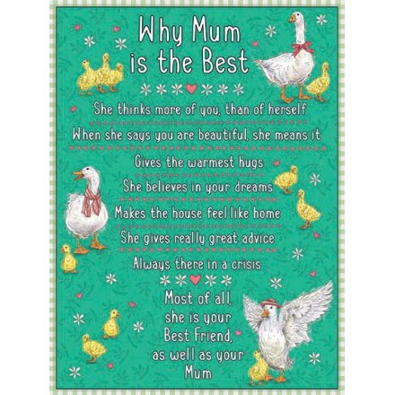 Why Mum is Best Metal Sign