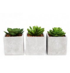 Add a touch of Contemporary to any interior with this chic assortment of potted artificial succulents 