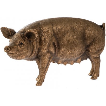 Bronze Pig Figure, 26cm