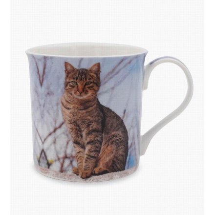 Winter Tabby Cat Mug