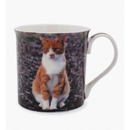 Ginger Cat Fine China Mug