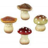 Create an enchanted woodland display with this assortment of 4 top selling mushroom decorations.