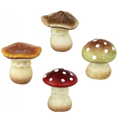 A set of 4 woodland mushrooms in authentic brown , green and red colour assortments.