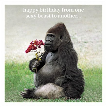Gorilla Birthday Greeting Card