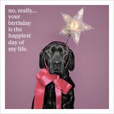 A humorous birthday card with a photographic animal print. A premium quality gift card, ideal for many recipients.