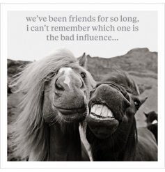 A brilliant and quirky photographic image with a humorous friendship quote. A wonderful greetings card for many occasion