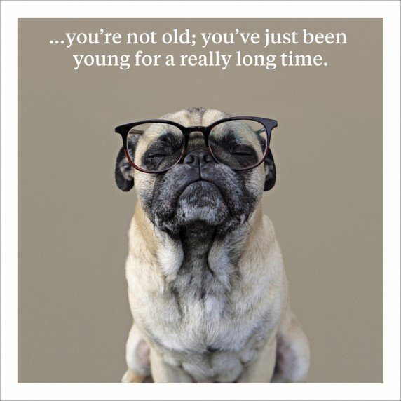 You're Not Old Greeting Card | 44050 | Occasions / Cards | Gainsborough ...