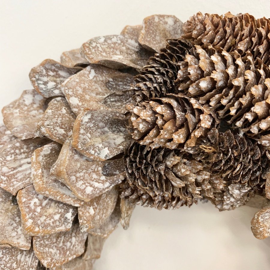 Assorted Pine Oasis Wreath, 28cm 44182 Christmas / Wreaths and