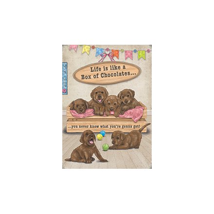 Life Is Like A Box Of Chocolate Labs Metal Sign 