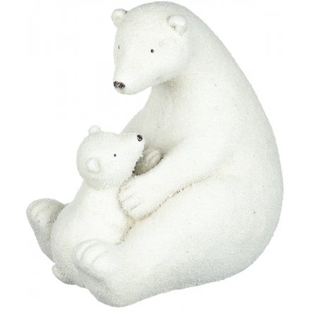 Wintered Polar Bear and Cub 