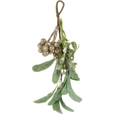 Hanging Gold Mistletoe 